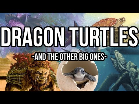 World, Lion and Dragon Turtles Are Awesome