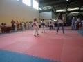 Taekwondo Andrimar Gomez