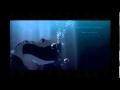Ocean Love A Fish Tale