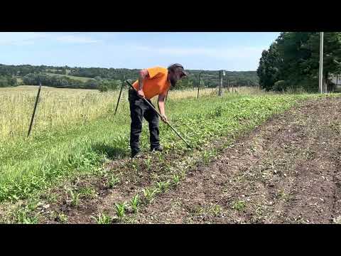 #327 Garden work with a shout out (link below)