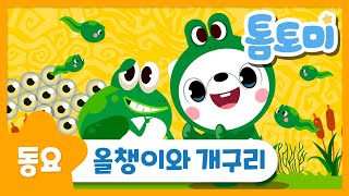 올챙이와 개구리 | 인기동요 | 아기동요 | 톰토미 (TOMTOMI)