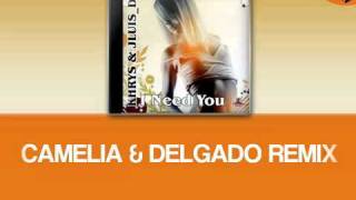 Khrys & Jluis_dj - I need you (Camelia & Delgado remix)