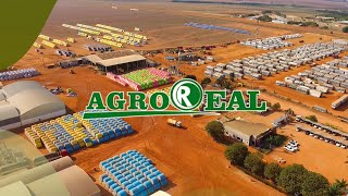 beneficiamento do algodão no Grupo Princesa