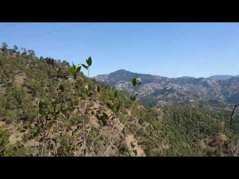 2017.03.15 Aboard the Toy Train from Shimla, Himachal Pradesh, India - 07