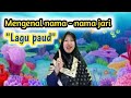 Lagu Paud Nama Nama Jari Lagu Anak