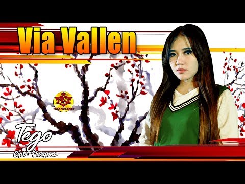 Via Vallen-Tego