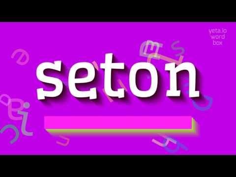 How to say "seton"! (High Quality Voices)