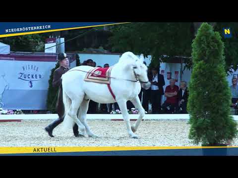 Lipizzanergala am Heldenberg 2018
