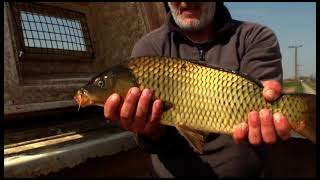 TERMÉSZETVÉDELMI KÖRKÉP