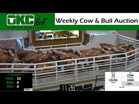 10/24/2022 - OKC West Weekly Cow & Bull Auction