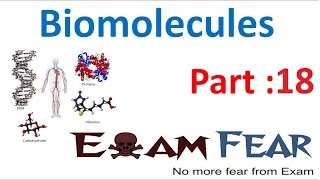 Biology Biomolecules Plants part 18 (Chemical reaction: enzymes) CBSE class 11 XI