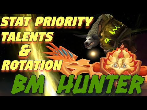 Stat Priority Bm Hunter