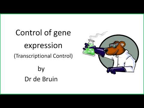 6.1.1 (Chapter 19) - Control of gene expression - Transcriptional control