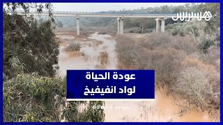 بعد طول انتظار.. المياه تعود لواد انفيفيخ بالمحمدية thumbnail