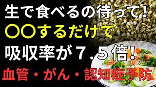 🌱 ブロッコリースプラウトで学ぶ人生の知恵：健康と毎日を輝かせる方法