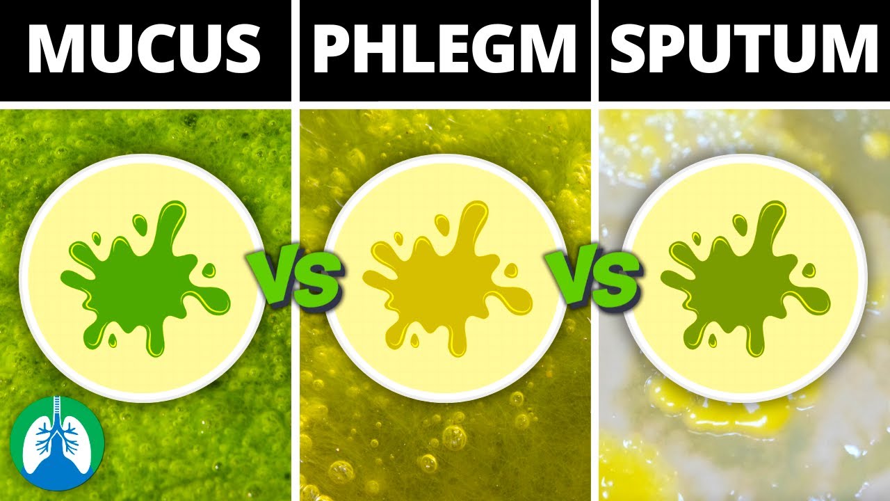 Mucus vs. Phlegm vs. Sputum | What's the Difference?