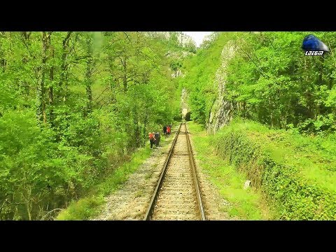 Train Backview Aleșd-Șuncuiuș-Bratca~Primăvara/Spring in Defileul Crișului Repede Canyo 04 May 2018