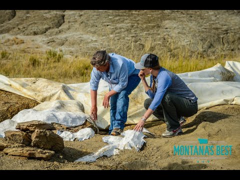 Dinosaur Digging In Montana (Montana's Best Episode 1)