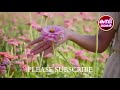 ചേച്ചിയുടെ കൂടെ മലയാളം കമ്പി കഥ Malayalam Kamb
