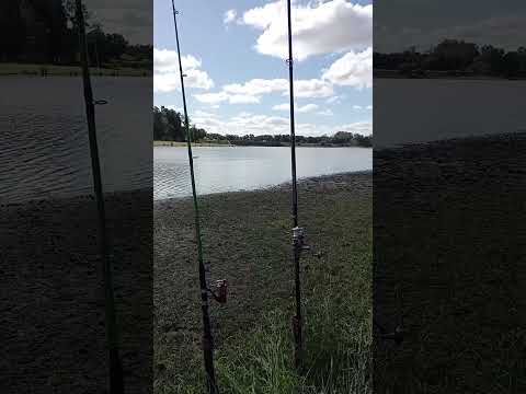 represa canelón grande... pesca #nature  #adventure #carpfishing #best #fishing #unpocodetuamor