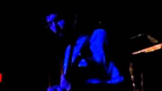 Miniature Tigers - Tropical Birds DALLAS TX 11.12.2010