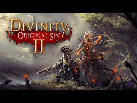 What is... Divinity: Original Sin 2 (Co-op Experience)