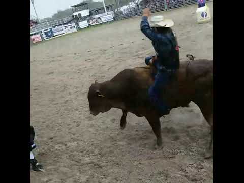 Ol Erni Bull bash Okeechobee, FL 2017