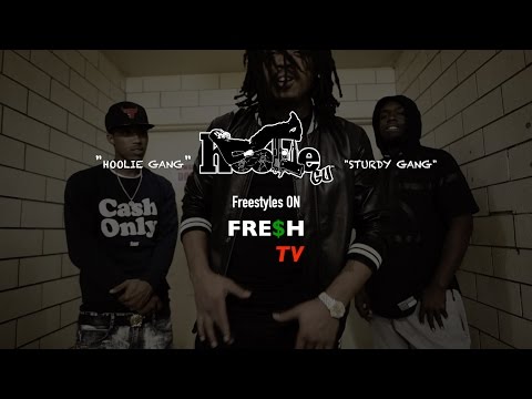 DJ YUNG FRESH DA BOSS PRESENTS HOOLIE GU NEW FREESTYLE #FRESHTV