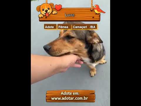 Vídeo de Luna
