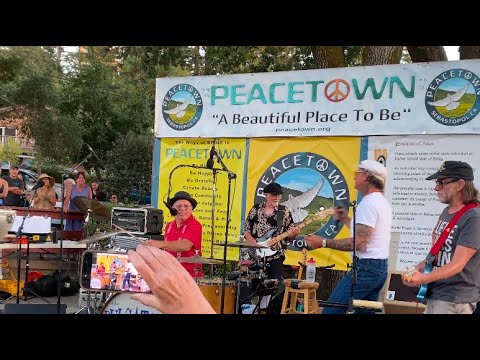 The Pulsators. ‘Let me love you’. Peacetown(Sebastopol, Ca.) 8/20/‘25.