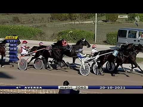 Aversa trotto 20 Ottobre 2021 - 4° Corsa