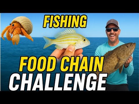Food Chain Challenge | Kayak Fishing for Hermit Crabs, Pinfish & Gag Grouper!