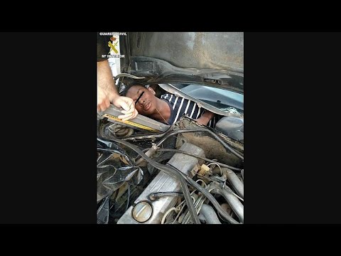 Migrant found hiding in vehicle's glove box by border police