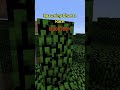 Top 4 Rarest Things In Minecraft