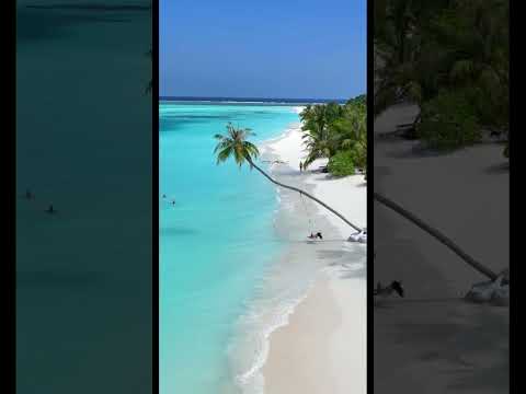 Beautiful beach #dronevideo #dronecamera