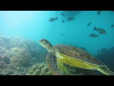 Visit the Great Barrier Reef | Great Barrier Reef Marine Park Authority