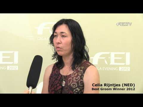 FEI Awards 2012