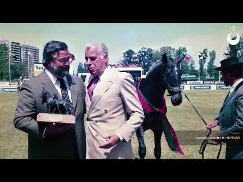 1 Coudelaria Arsénio Raposo Cordeiro