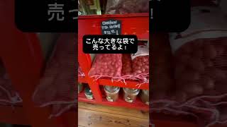 オースティン郊外のお土産屋さんはバッキーズだけじゃない! #海外不動産 #アメリカ不動産 #テキサス州オースティン#オースティン賃貸住宅 #テキサス不動産投資 #オースティン駐在