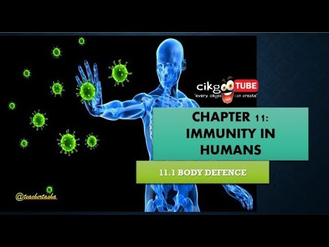 BIOLOGY KSSM FORM 4: 11.1 BODY DEFENCE