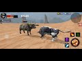 Crazy Bull Vs Wild Buffalo S Ep 2 The Cow Simulator