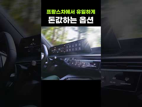 프랑스 차의 이상한 고집
