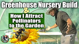 Greenhouse Nursery Build + Hummingbird Feeder Review | Attracting Pollinators to Boost My Garden!