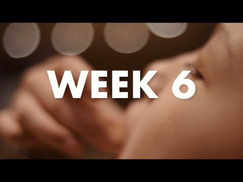 [Vecka 6] Celebrate and indulge.