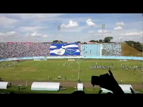 Jogo do Londrina x Coritiba