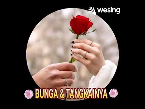 Bunga Dan Tangkainya