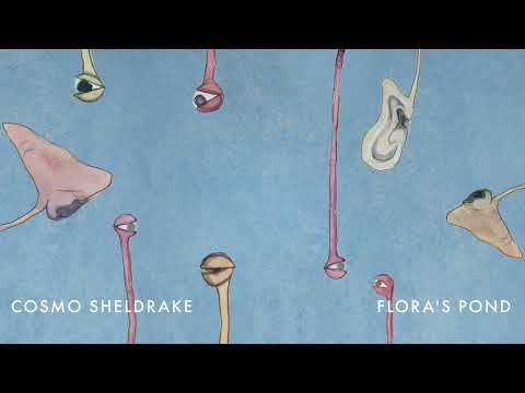 Video thumbnail for Flora’s Pond