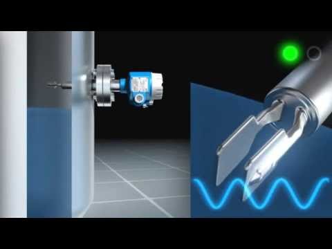 Vibronic measuring principle animation (endress hauser)