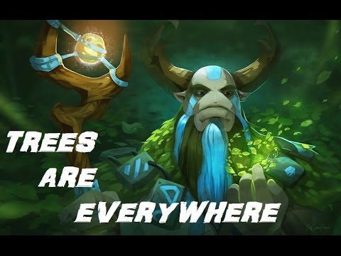 There are trees everywhere!