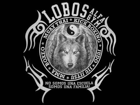 Combate de Jorge (Muay Thai - Kick Boxing) Lobos Alfa Gym